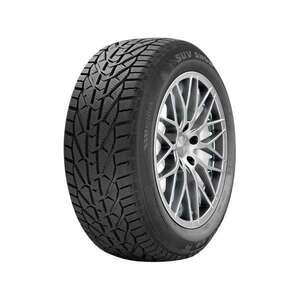 Riken Snow 195/65 R15 95T XL